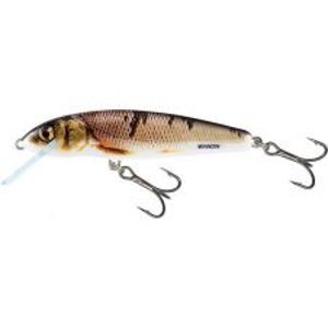 Salmo Wobler Minnow Sinking Wounded Dace-6 cm 6 g